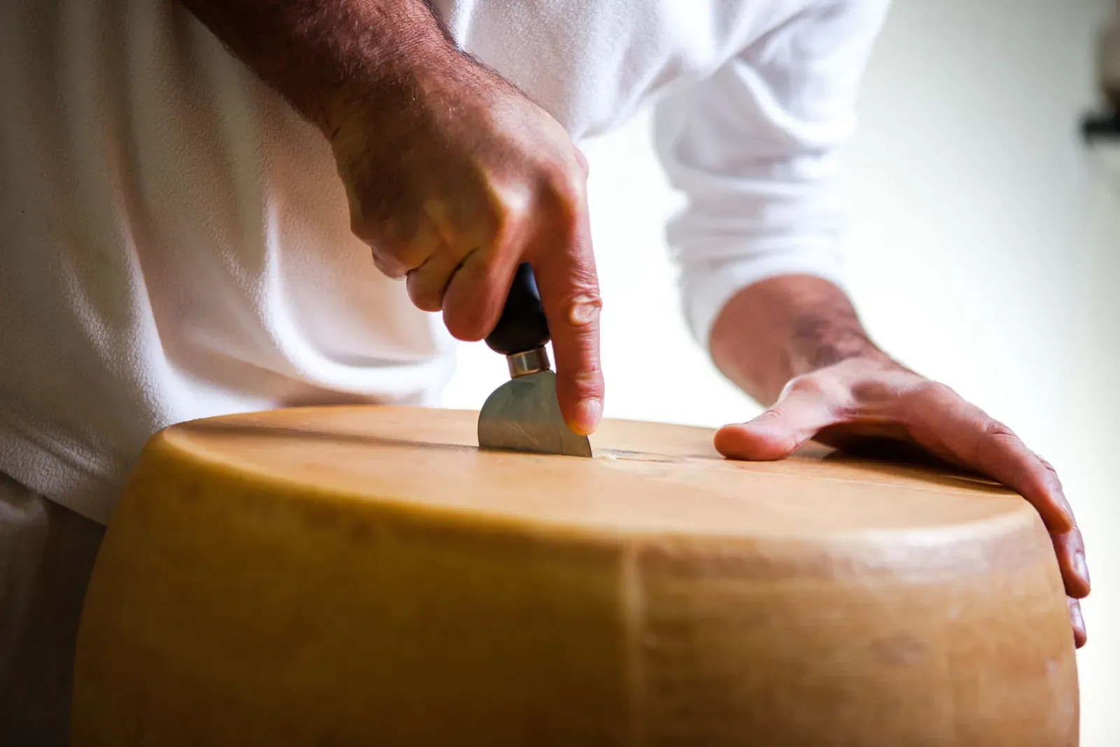 17cfd0a8c08bc52a5b034e8903f295a4