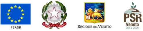 Regione veneto
