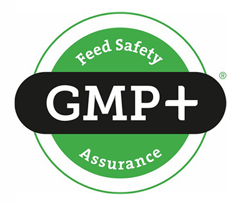 Logo GMP