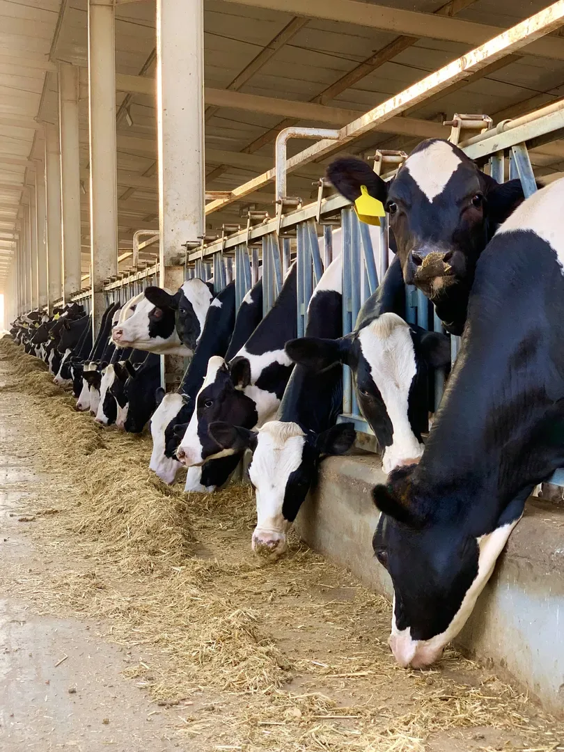 Ab3176a4a40d03ec8db8f1d403a6007e